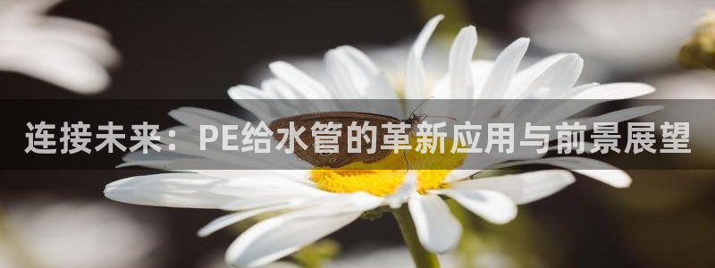 天辰娱乐主页