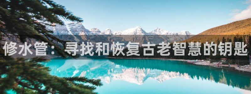 天辰娱乐1966