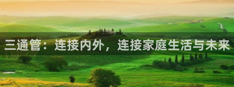 天辰娱乐会所