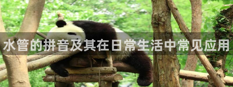 天辰天富娱乐