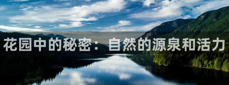 天辰娱乐彩票
