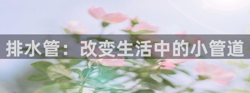 天辰娱乐官
