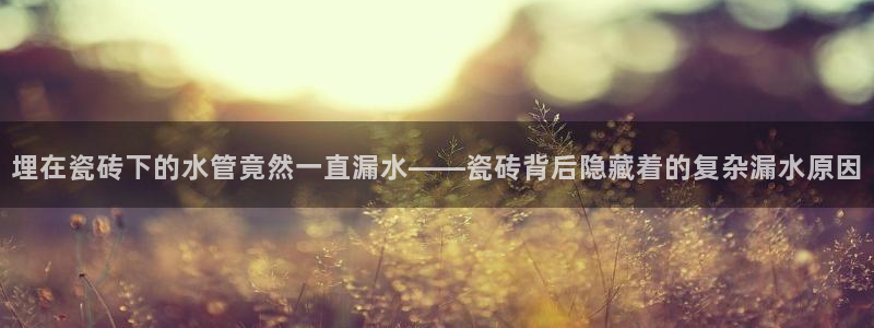 天辰娱乐44616
