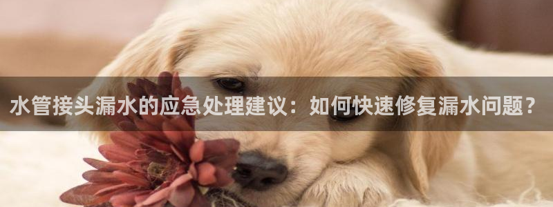 天辰娱乐481928