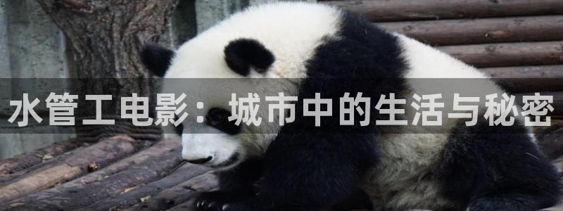天辰娱乐22650