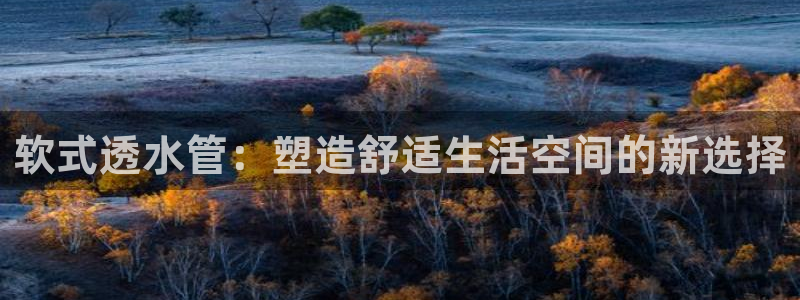 深圳天辰娱乐