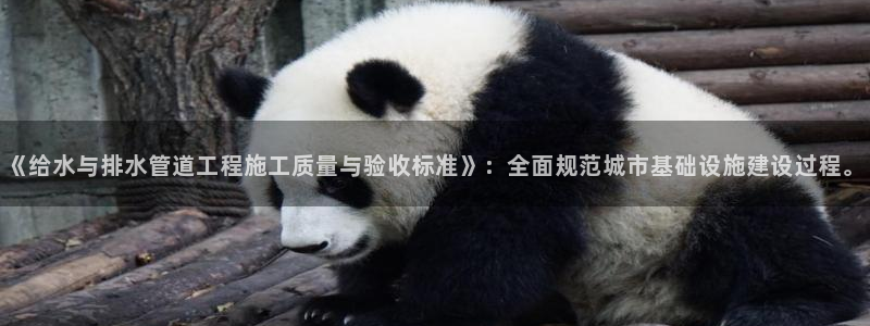 天辰国际娱乐