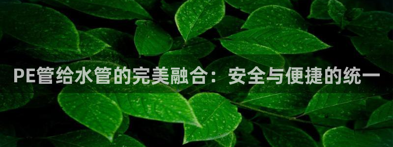 菲律宾天辰娱乐
