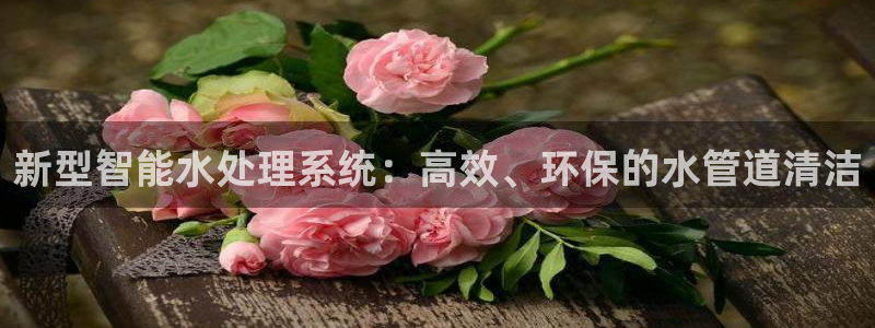 天辰娱乐平台安全吗