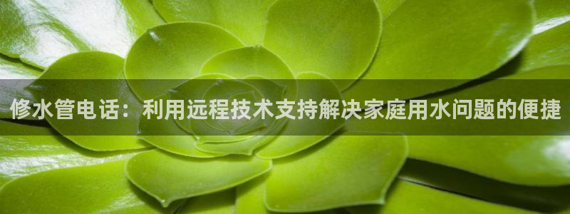 天辰娱乐44616