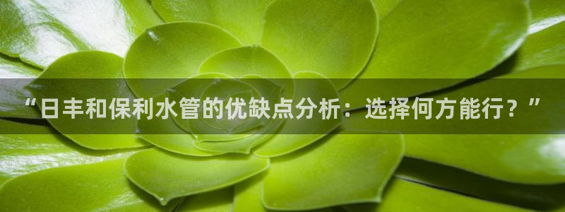 天辰娱乐官网平台入口