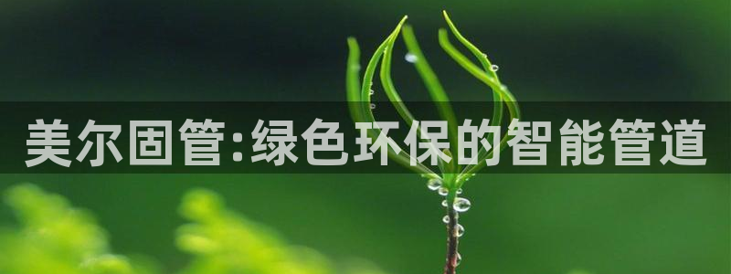 天辰娱乐 主管