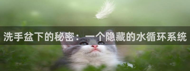 天辰娱乐官网