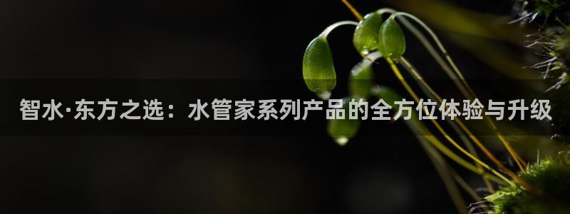 天富娱乐与天辰娱乐