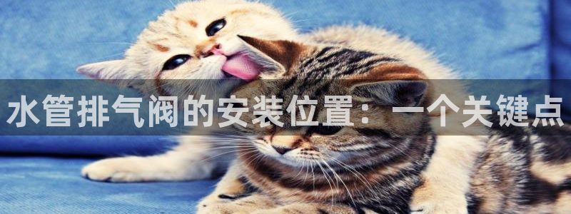 天辰娱乐欢乐
