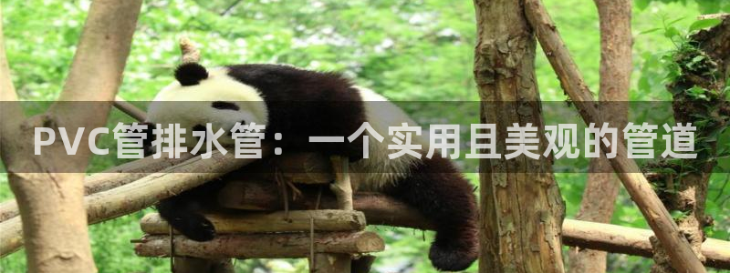 手机上怎么下载天辰娱乐