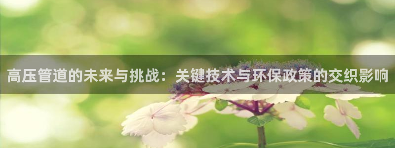 天辰娱乐线路