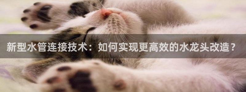 天辰娱乐53551