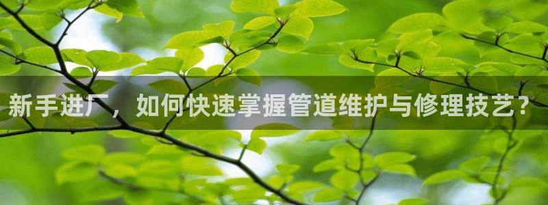 天辰娱乐1956