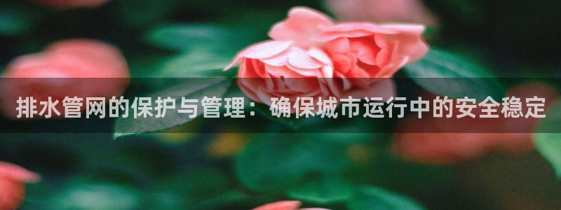 天富天辰娱乐