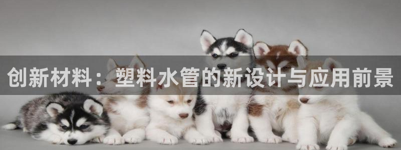 天辰娱乐平台地址