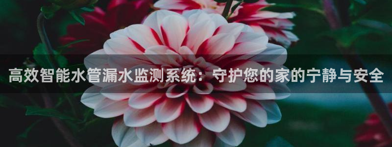 天辰天辰娱乐