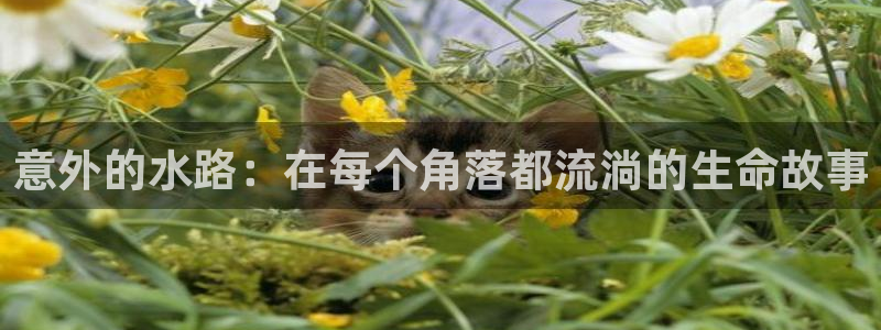 天辰娱乐7天22650