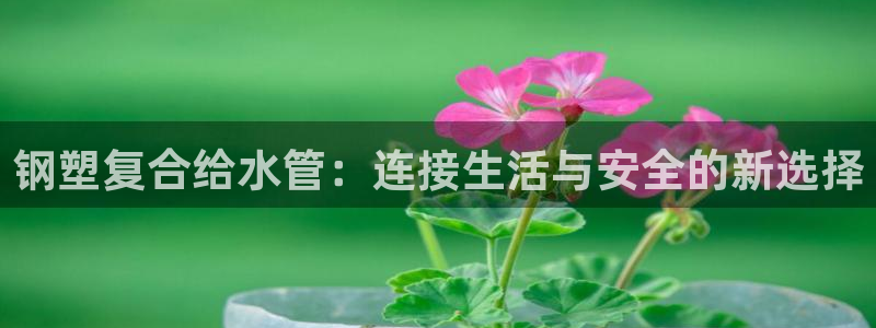 天辰娱乐39596