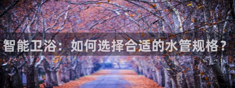 天辰娱乐登陆平台