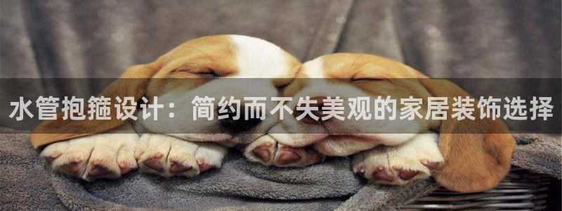 天辰娱乐APP下载