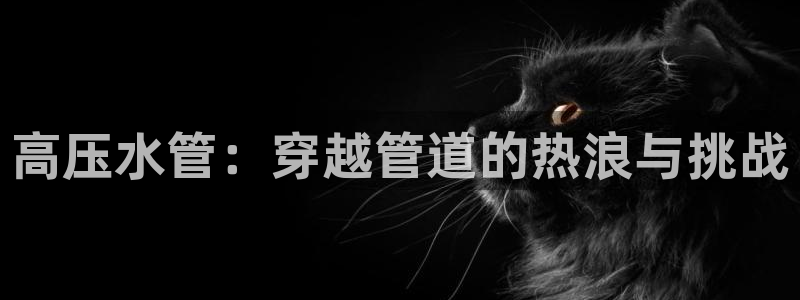 天辰娱乐新