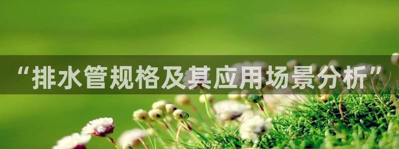 南京天辰娱乐
