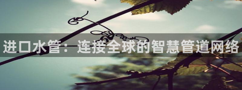 天辰娱乐平台安全吗