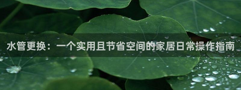 天辰app娱乐