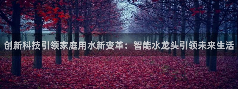 天辰娱乐招商