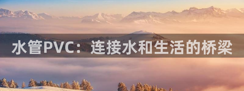 天辰娱乐股东