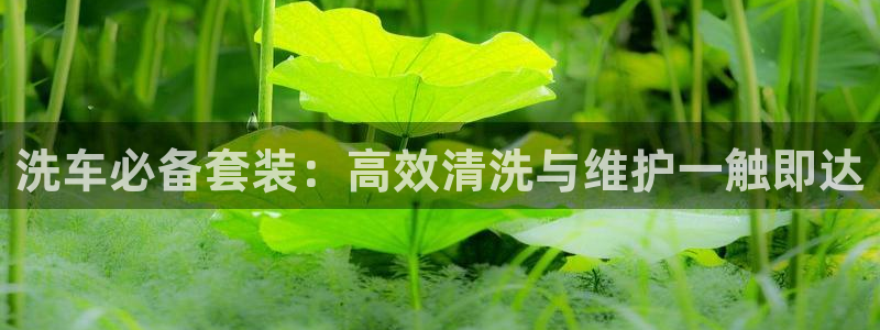 天辰娱乐主管