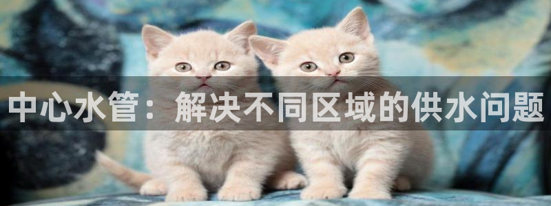 天辰娱乐天辰宝