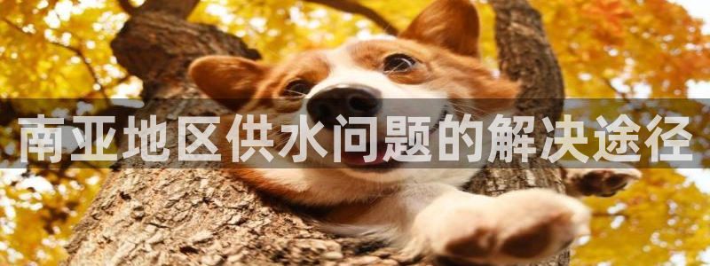 天辰团队贝高娱乐