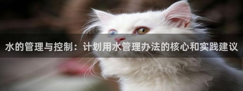 天辰娱乐_675138