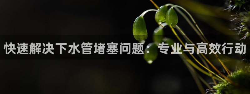 天辰娱乐指尖所