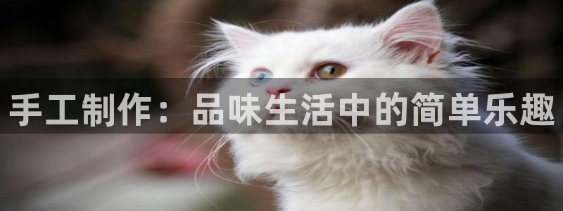 天辰娱乐728567