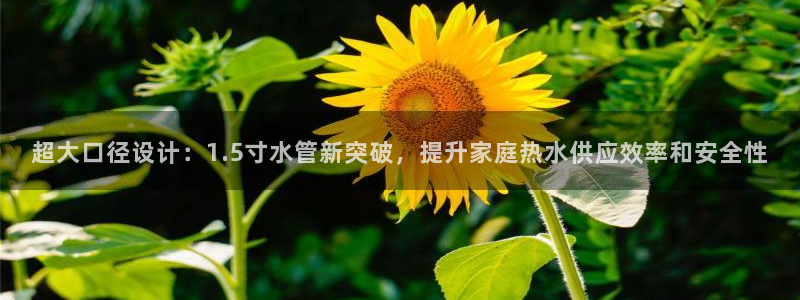 天辰娱乐675138