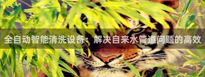 天辰娱乐957807