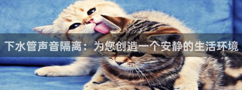 辰天娱乐用品