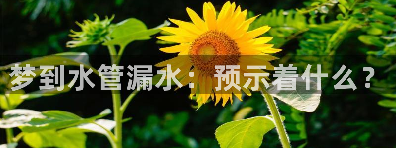 天辰宝宝娱乐