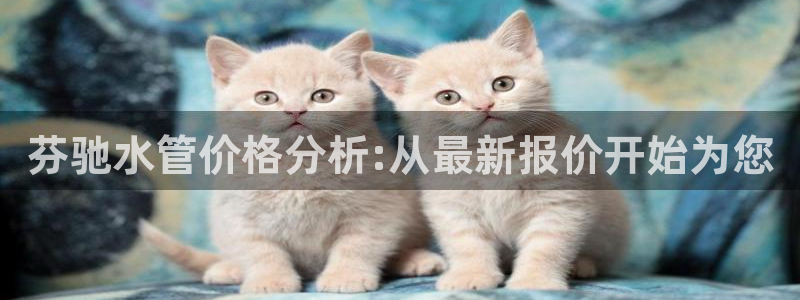 天辰娱乐网址娱乐游戏