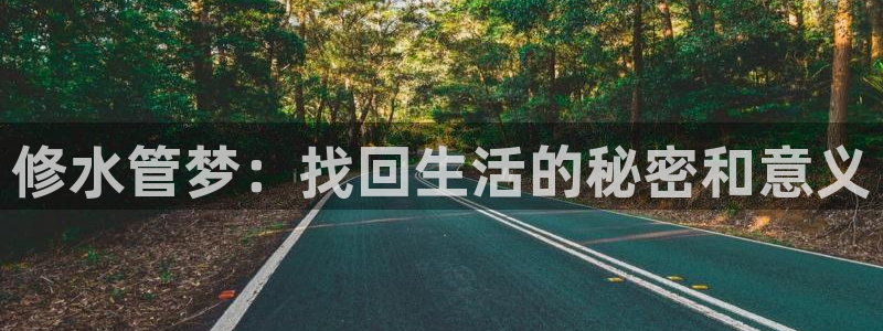 天辰娱乐分红