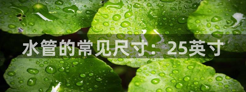 天辰娱乐 849852