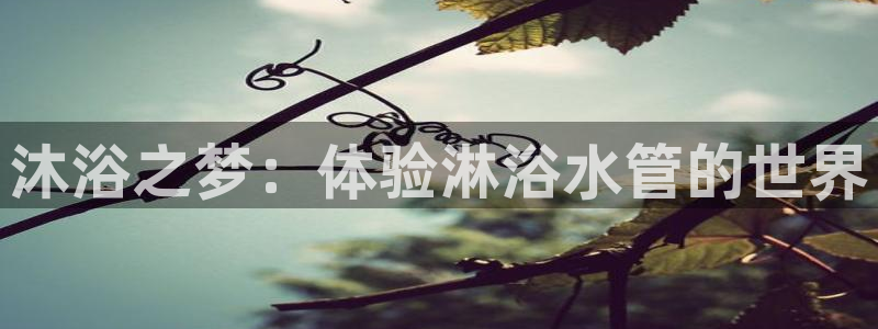 天辰娱乐 qq